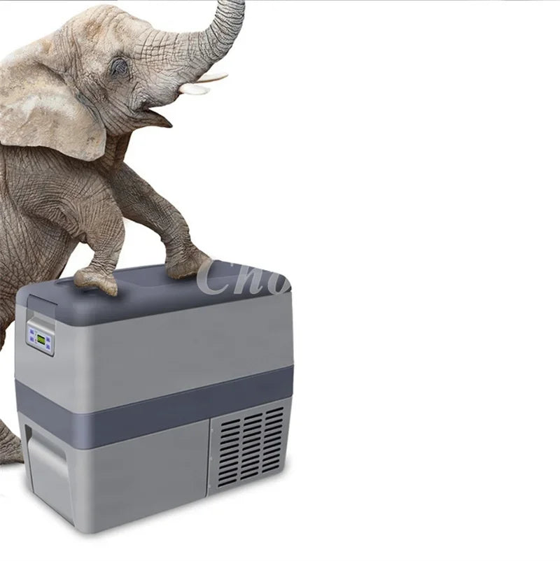 25/30L Car Refrigerator Mini Fridge Small Freezer 12V Compressor Portable Cooler 220V 12v car Mini Refrigerator