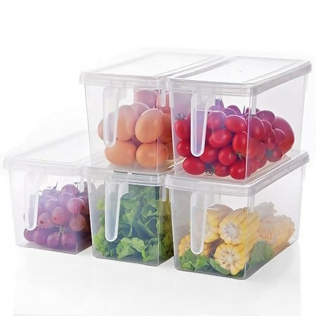Fridge Storage Container (1pc)