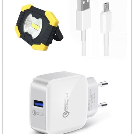 Multi-function portable lamp mini flood light