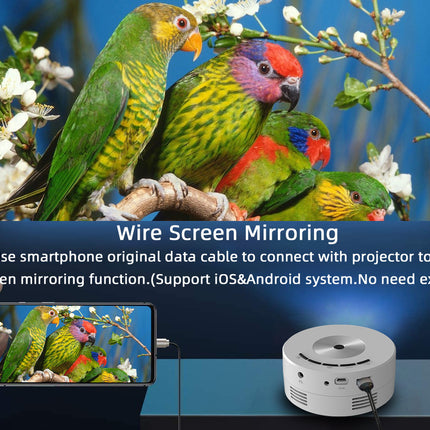 Household Portable Small Mobile Phone Wired Same Screen Projector