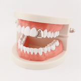 Gold Trendy Hip Hop Single Tooth Grillz Cap Body Jewelry