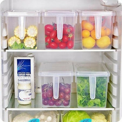 Fridge Storage Container (1pc)