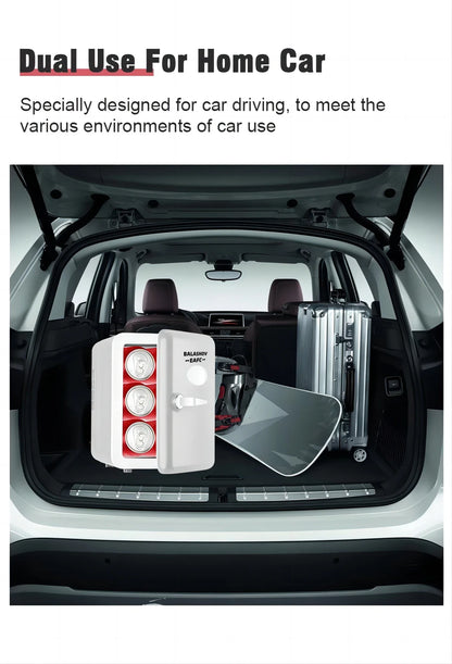 12V/110V/220V Mini Multifunction Refrigerator Cosmetics Mask Beverage Cooler Makeup Compact Dormitory Cooler for Car Home