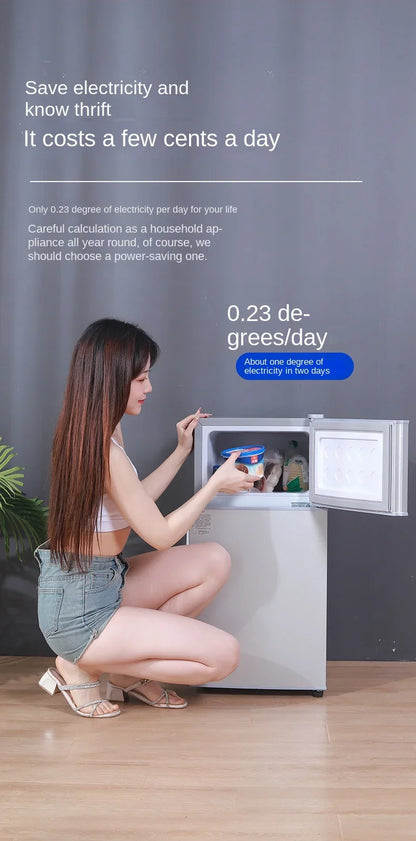 Small refrigerator Home small dormitory rental room frozen refrigeration mini double door refrigerator freezer  무선냉장고  alpicool