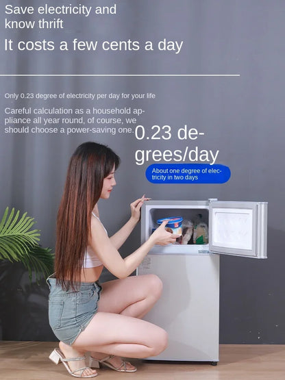 Small refrigerator Home small dormitory rental room frozen refrigeration mini double door refrigerator freezer  무선냉장고  alpicool