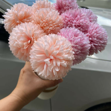 6 piece Dandelion Flowers