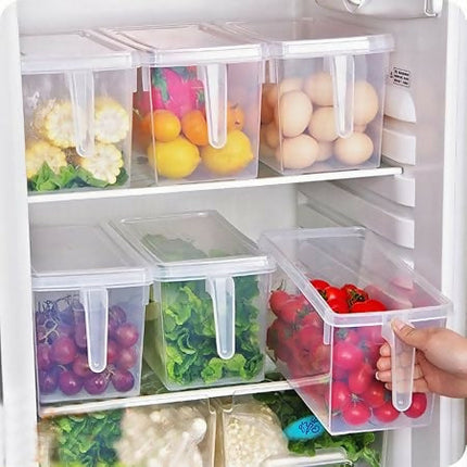 Fridge Storage Container (1pc)