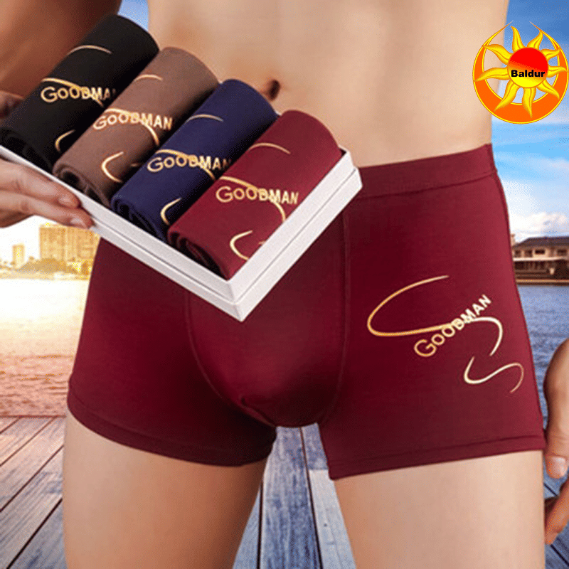 Baldur Men's 4-Pack Breathable Polyester Boxer Briefs - Soft, Stretch, Comfort