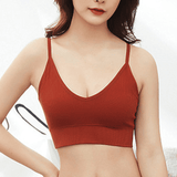 Baldur 3PC Women's Seamless Threaded Sports Bra, No Steel Ring, Multi-Color Pack, Free Size