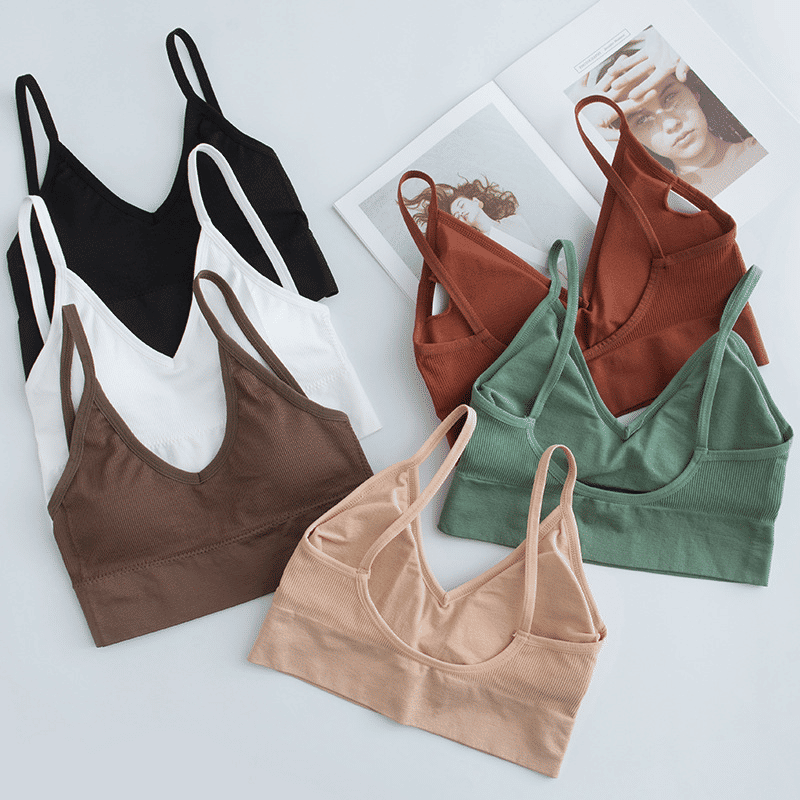 Baldur 3PC Women's Seamless Threaded Sports Bra, No Steel Ring, Multi-Color Pack, Free Size