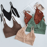 Baldur 3PC Women's Seamless Threaded Sports Bra, No Steel Ring, Multi-Color Pack, Free Size