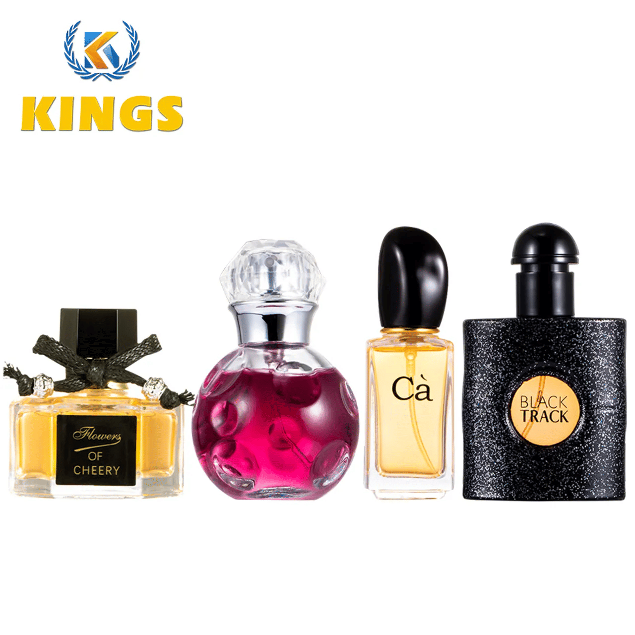 4 Pcs Ladies Perfume Set Long Lasting Eau de Parfum