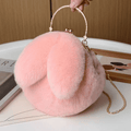 Charming Plush Rabbit Ear Crossbody Bag for Women - Soft Wool Handbag