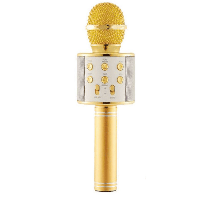 Portable Wireless Bluetooth Karaoke Microphone Speaker for Kids & Family Fun