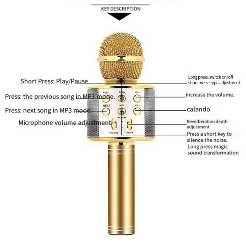 Portable Wireless Bluetooth Karaoke Microphone Speaker for Kids & Family Fun
