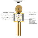 Portable Wireless Bluetooth Karaoke Microphone Speaker for Kids & Family Fun