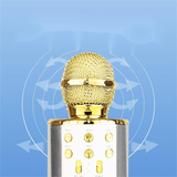 Portable Wireless Bluetooth Karaoke Microphone Speaker for Kids & Family Fun