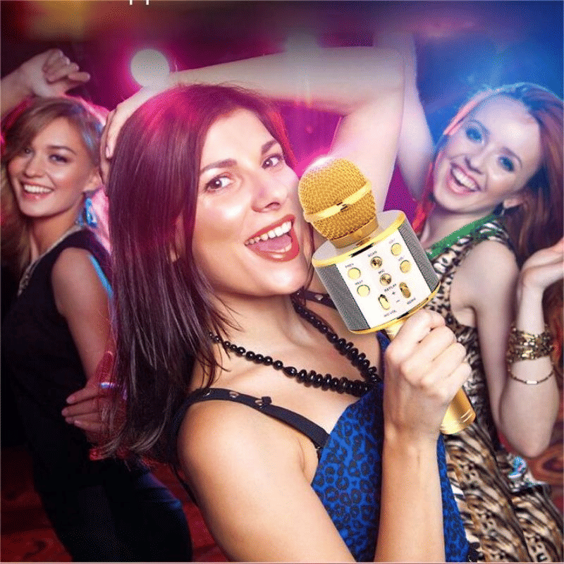 Portable Wireless Bluetooth Karaoke Microphone Speaker for Kids & Family Fun