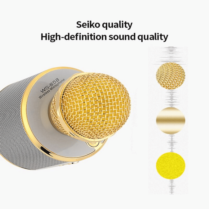 Portable Wireless Bluetooth Karaoke Microphone Speaker for Kids & Family Fun