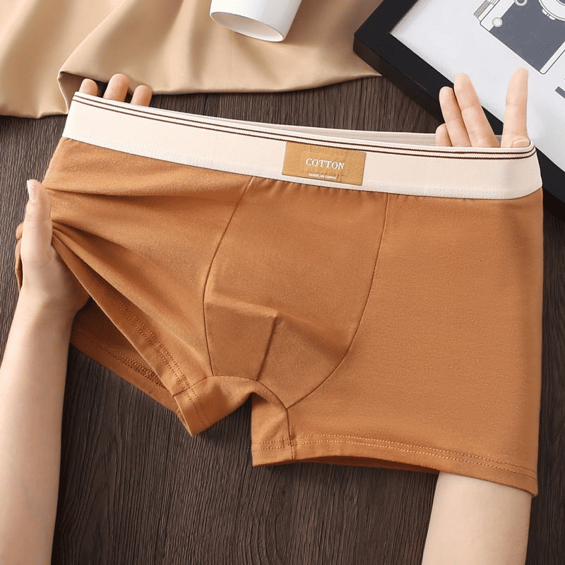 4-Pack Men's Breathable Cotton Antibacterial Boxer Briefs - Mixed Colors, All-Cotton Comfort