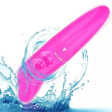 Little Dolphin Powerful Vibrator for Women - Discreet Pink Personal Massager Adult Toy