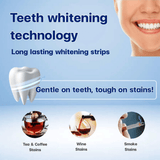 https://img.kilimall.com/c/obs/seller/100002947/goods_image/240816120652_6b8e8e8dbd76e4cf532bb3011c0424f2.jpg