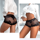 5-Pack Women's Seamless Lace Mesh Mid-Waist Plus Size Butt Lift Panties