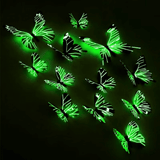 https://img.kilimall.com/c/obs/seller/100003232/goods_image/250307182948_f2279992d9c6f0a955cd625fc03d963d.png