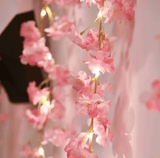 https://img.kilimall.com/c/obs/seller/100007050/goods_image/250401184128_38e5e84fd5b6a01dc33e6e7e406bd766.png