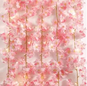 https://img.kilimall.com/c/obs/seller/100007050/goods_image/250401184129_87be744c8b99c5c17c9c389a94b70e77.png