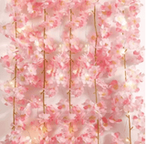 https://img.kilimall.com/c/obs/seller/100007050/goods_image/250401184129_87be744c8b99c5c17c9c389a94b70e77.png