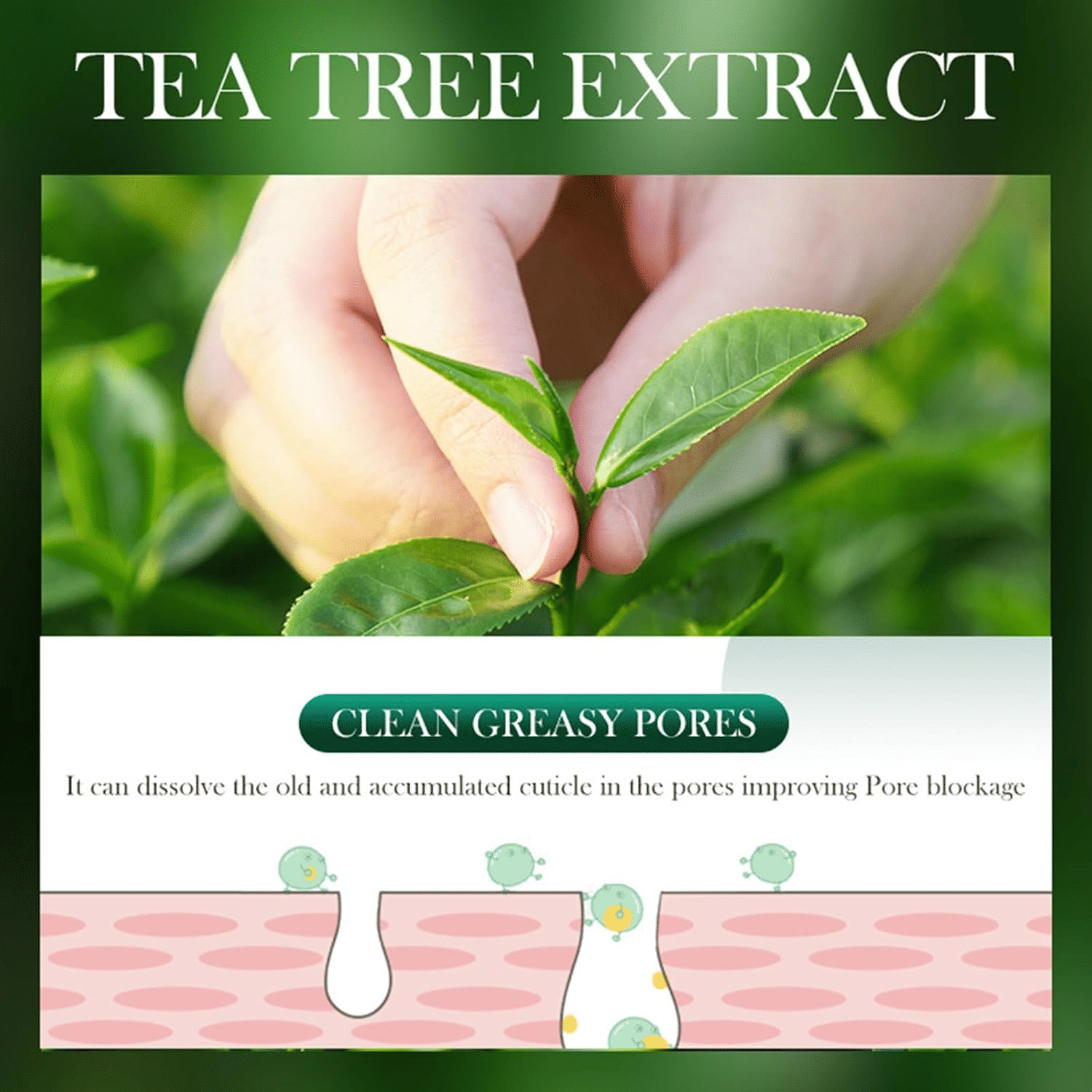 https://img.kilimall.com/c/obs/seller/100008448/goods_image/251231083355_b32c54ff0b0907bb6162f17f17a6e8b6.jpg