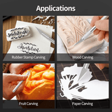 Professional Stainless Steel Precision Craft Knife Tool Set 5 Blades