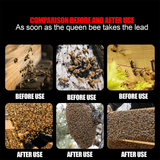 Magical Bee Attractant Spray 100ml Lure Swarms Beekeeping Liquid