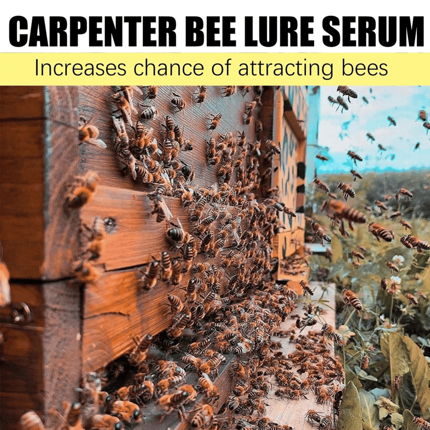 Magical Bee Attractant Spray 100ml Lure Swarms Beekeeping Liquid