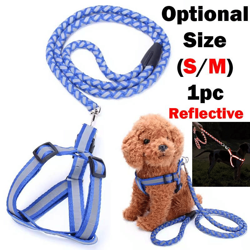 https://img.kilimall.com/c/obs/seller/2838/goods_image/251005121323_51a910afdac598cb18095ed34e28cf3a.jpg