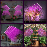 Generic 4 Head LED Grow Light Full Spectrum with Stand