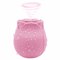 Powerful Rose Clitoris Sucking Vibrator - Rechargeable Oral Stimulator for Women