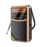 Portable AM/FM/SW Radio, 3W Speaker, Best Reception, Earphone Jack