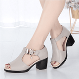 SXCHEN Ladies Roman Fish Mouth Sandals - Versatile Thick Mid-Heel, Comfortable Non-Slip
