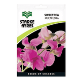 Sweet Pea Multiflora Mix Flower Seeds Annual Lathyrus odoratus Climbing Scented