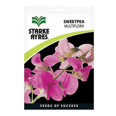 Sweet Pea Multiflora Mix Flower Seeds Annual Lathyrus odoratus Climbing Scented