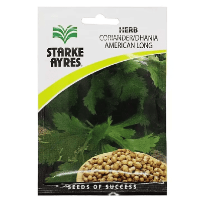 Coriander Dhania American Long Seeds Herb Garden Culinary Aromatic Annual