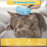 Pet Mist Spray Massage Comb Cat Brush USB Rechargeable Steamy Shedding Grooming with Water Tank
