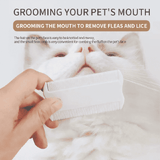 3-Pack Pet Flea Comb for Cats Dogs Fine Lice Nits Professional Grooming Double Sided Plastic Groomer
