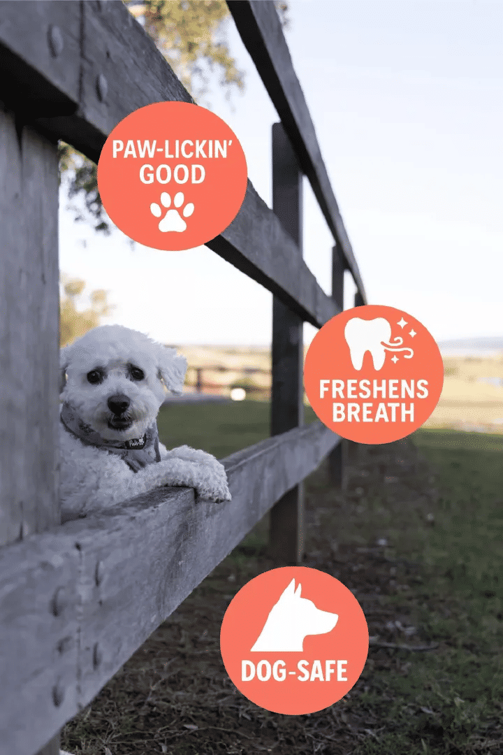 Vanilla Flavoured Pet Toothpaste Dental Gel for Cat Dog Oral Hygiene Fresh Breath Teeth Cleaning Supplies for Puppy Rabbits Kitten