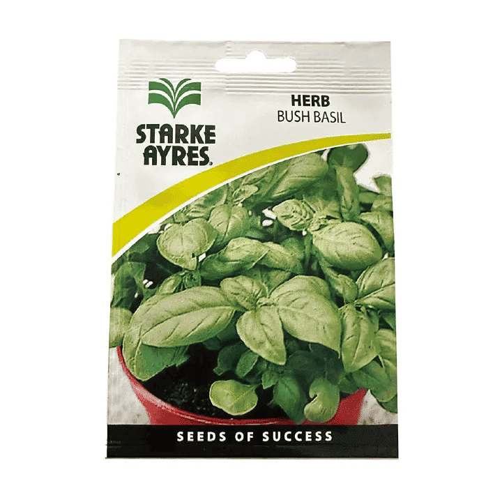 Bush Basil Seeds Compact Herb Aromatic Leaves Annual Spring Planting