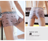 Thor Ice Silk Boxer Briefs 4-Pack Men's Breathable Underwear L-4XL Sizes