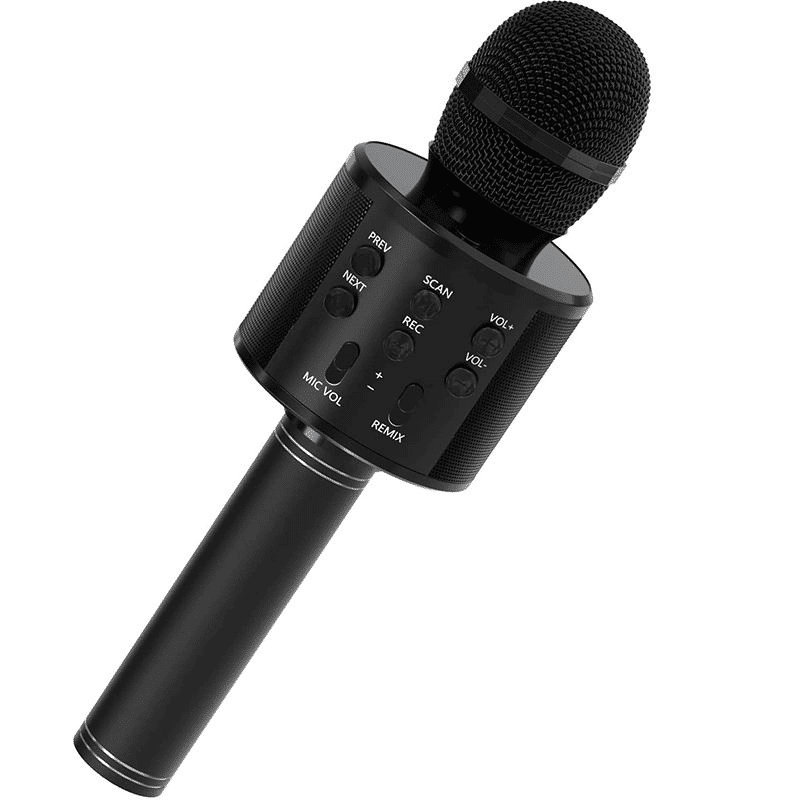 Portable Wireless Bluetooth Karaoke Microphone Speaker for Kids & Family Fun