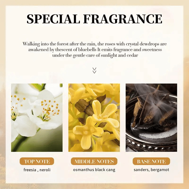 https://img.kilimall.com/c/obs/seller/9499/goods_image/251115122057_acae832059390ec22e4e064c548b56e6.jpg